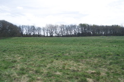 DSC05271.jpg