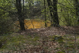 DSC05289.jpg