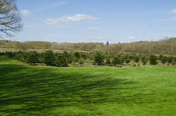 DSC05295.jpg