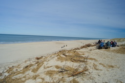 DSC05319.jpg