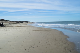 DSC05321.jpg