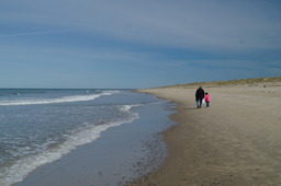 DSC05322.jpg