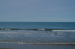 DSC05323.jpg