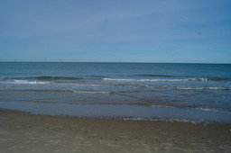 DSC05324.jpg