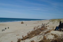 DSC05336.jpg