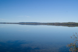 DSC05338.jpg