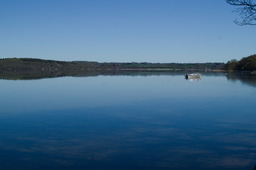 DSC05340.jpg