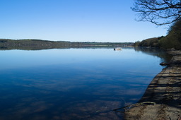 DSC05341.jpg