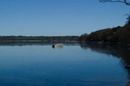 DSC05344.jpg