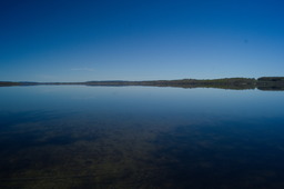 DSC05345.jpg