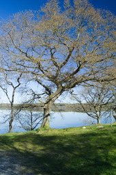 DSC05347.jpg