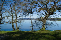 DSC05349.jpg