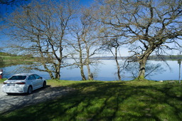 DSC05350.jpg
