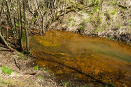 DSC05354.jpg
