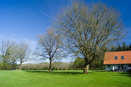 DSC05370.jpg