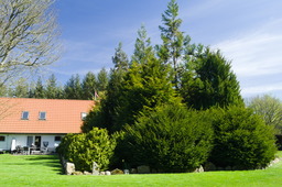 DSC05371.jpg