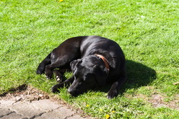DSC05383.jpg