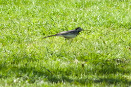 DSC05395.jpg