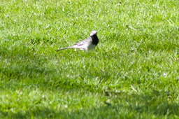 DSC05403.jpg