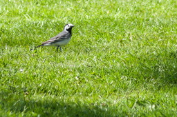 DSC05404.jpg
