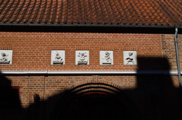 DSC05427.jpg