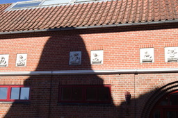 DSC05428.jpg