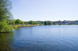 DSC05431.jpg