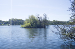 DSC05432.jpg