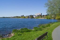 DSC05434.jpg