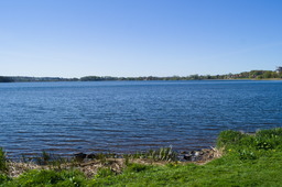 DSC05435.jpg