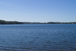 DSC05436.jpg