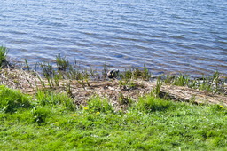 DSC05438.jpg