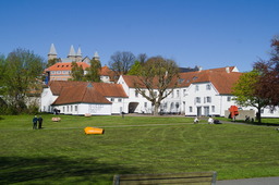 DSC05442.jpg