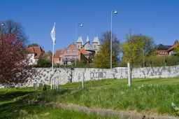 DSC05444.jpg