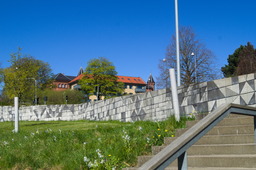 DSC05445.jpg