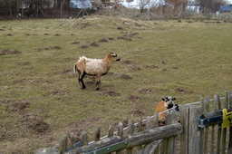 DSC01723.jpg
