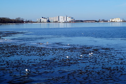 DSC01516.jpg