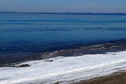 DSC01536.jpg