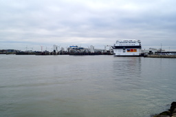 DSC01640.jpg