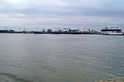 DSC01644.jpg